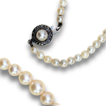 将图片加载到图库查看器，Single Strand Cultured Graduated Pearl Necklace with Marcasite
