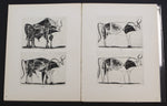 将图片加载到图库查看器，Picasso Lithographe - 1919-1947

